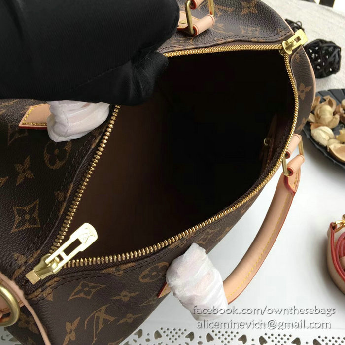 Louis Vuitton Monogram Canvas Speedy Bandouliere 25 M41113