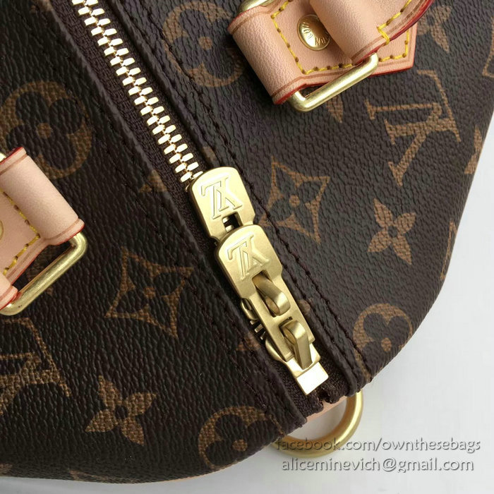 Louis Vuitton Monogram Canvas Speedy Bandouliere 25 M41113