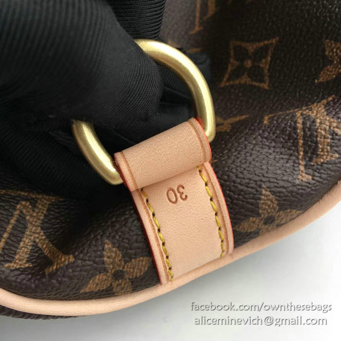 Louis Vuitton Monogram Canvas Speedy Bandouliere 30 M41112