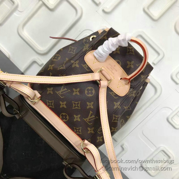 Louis Vuitton Monogram Canvas Montsouris PM M51135