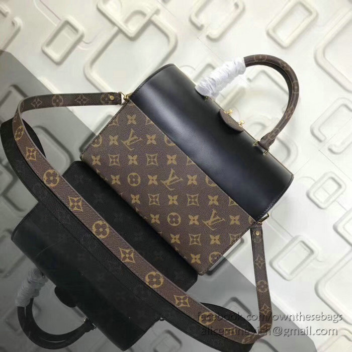 Louis Vuitton Speedy Doctor 25 M51468