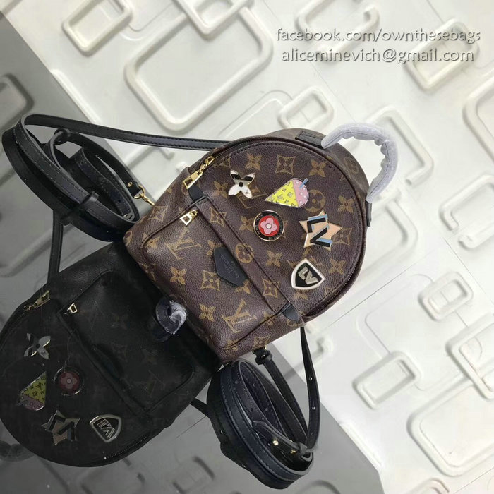 Louis Vuitton Monogram Canvas Palm Springs Backpack Mini M41562