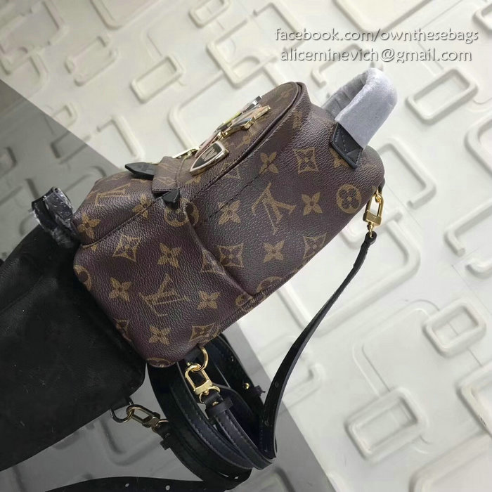 Louis Vuitton Monogram Canvas Palm Springs Backpack Mini M41562