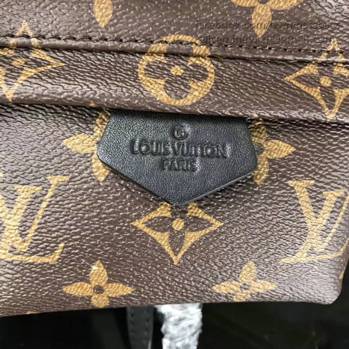 Louis Vuitton Monogram Canvas Palm Springs Backpack Mini M41562