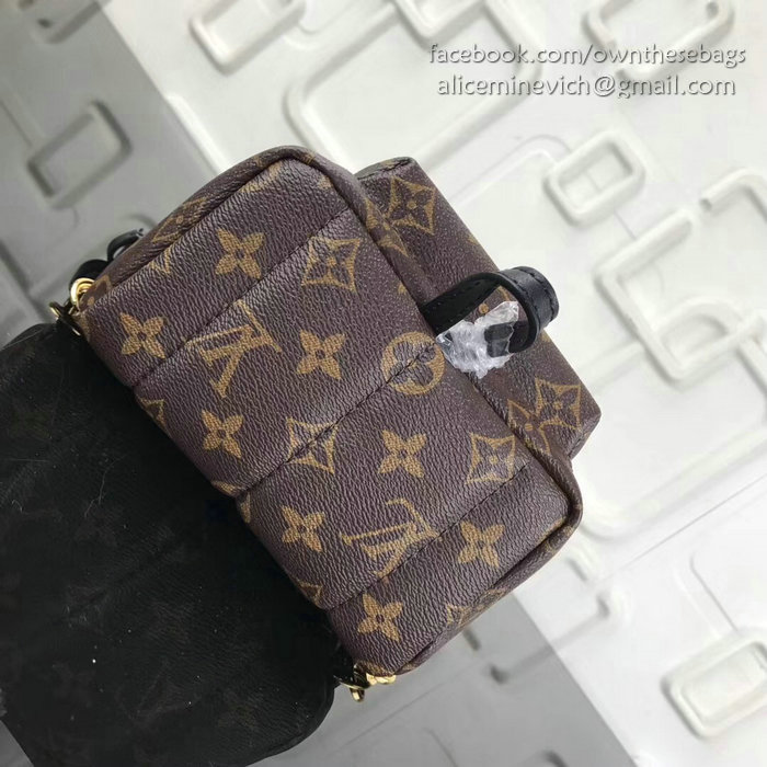 Louis Vuitton Monogram Canvas Palm Springs Backpack Mini M41562