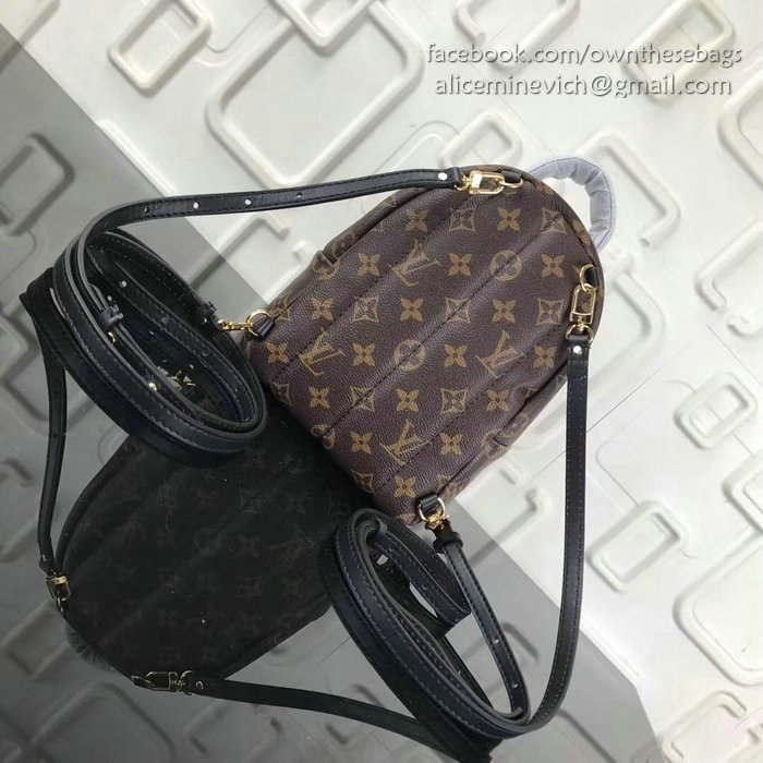 Louis Vuitton Monogram Canvas Palm Springs Backpack Mini M41562