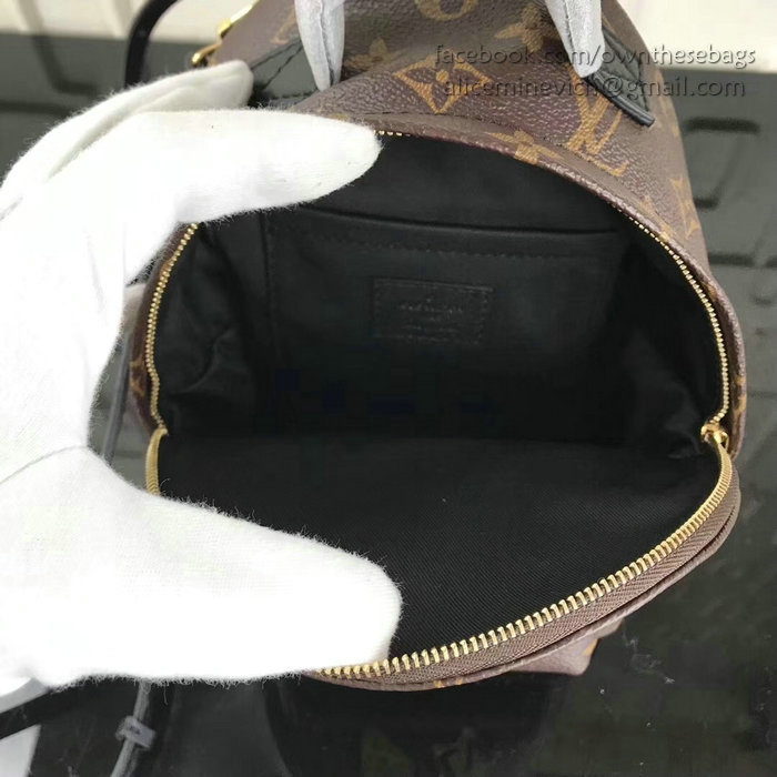 Louis Vuitton Monogram Canvas Palm Springs Backpack Mini M41562