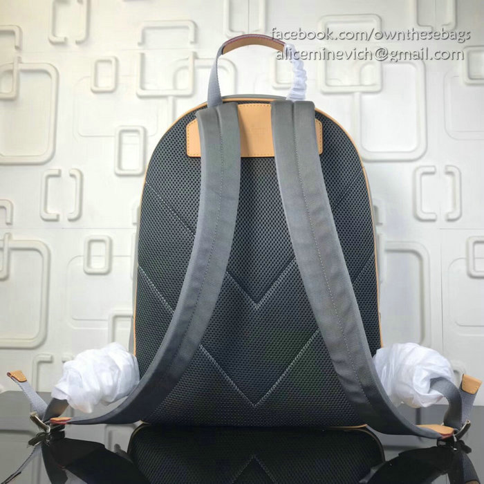 Louis Vuitton Monogram Titanium Canvas Backpack PM M43882