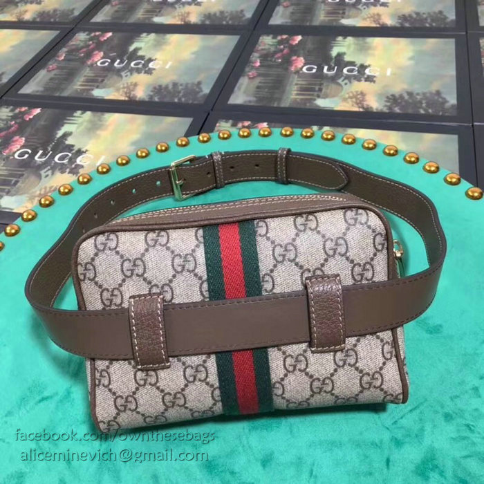 Gucci Ophidia GG Supreme Small Belt Bag 517076