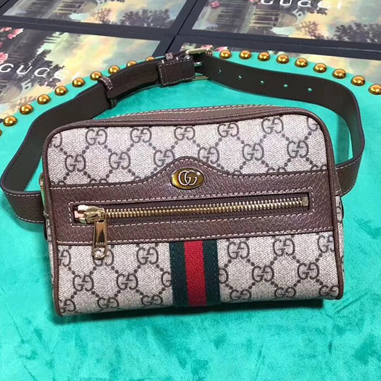 Gucci Ophidia GG Supreme Small Belt Bag 517076