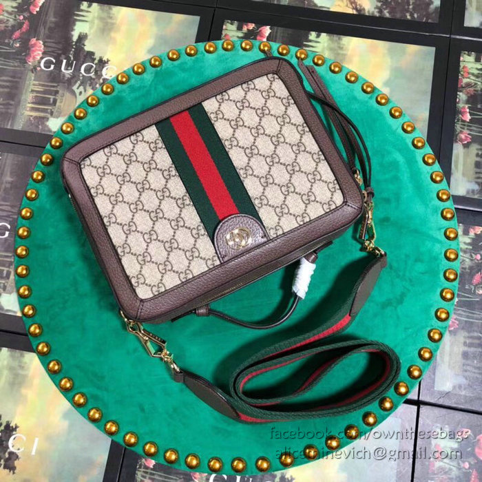 Gucci Ophidia Small GG Shoulder Bag 550622