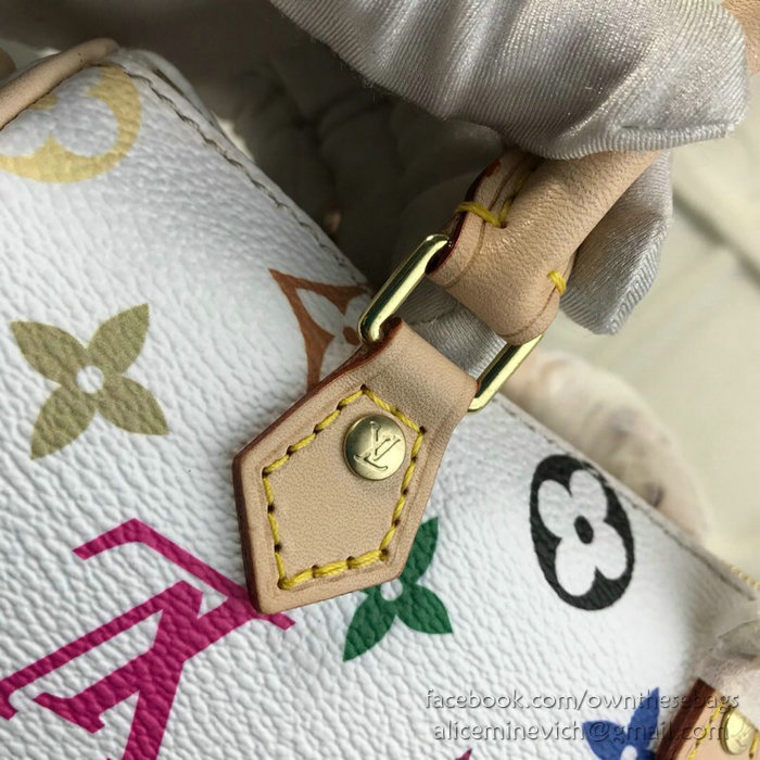 Louis Vuitton Monogram Multicolore Nano Speedy M61252