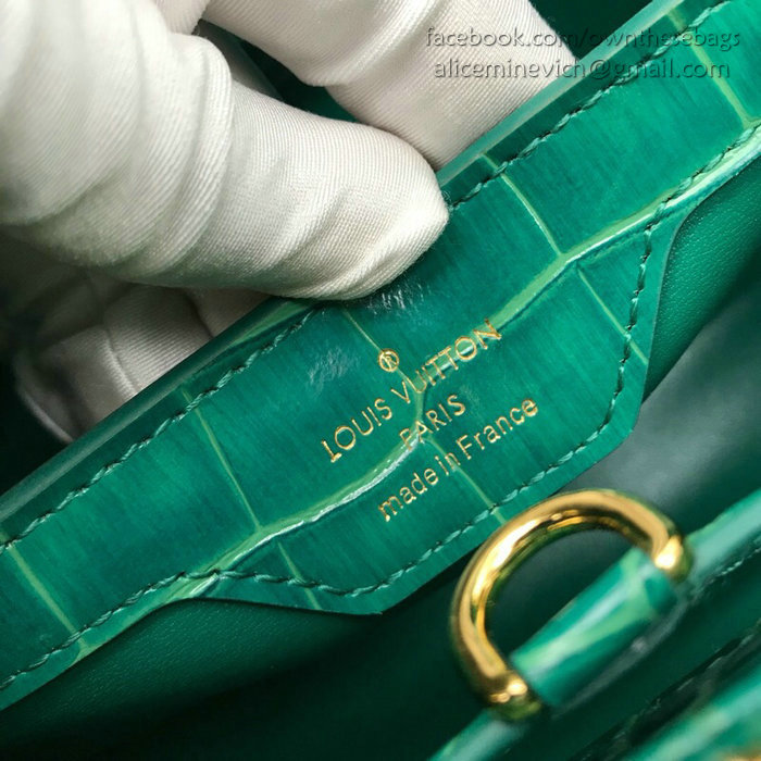 Louis Vuitton Calfskin Capucines Mini Green N94227