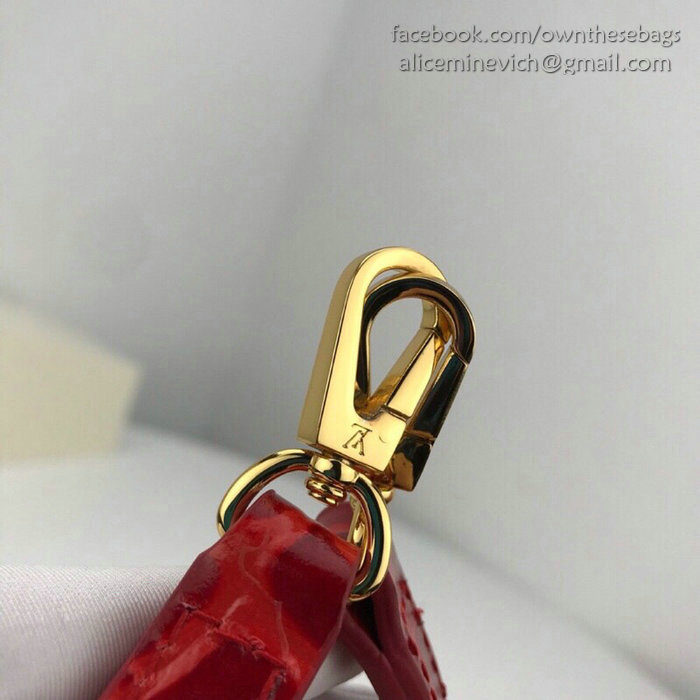 Louis Vuitton Calfskin Capucines Mini Red N94227