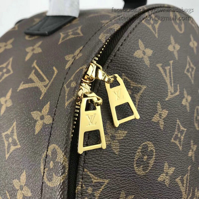 Louis Vuitton Palm Springs Backpack MM M41561