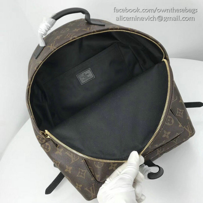 Louis Vuitton Palm Springs Backpack MM M41561