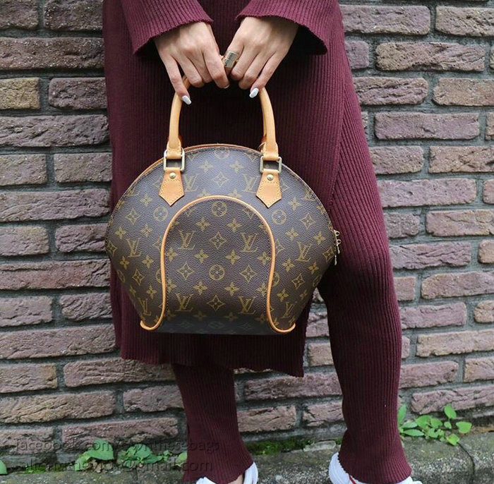 Louis Vuitton Monogram Canvas Ellipse PM M61244