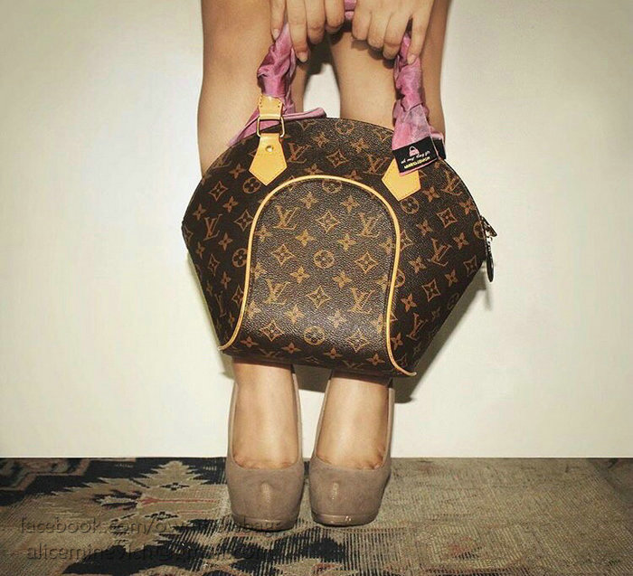 Louis Vuitton Monogram Canvas Ellipse PM M61244