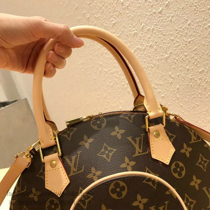 Louis Vuitton Monogram Canvas Ellipse PM M61244