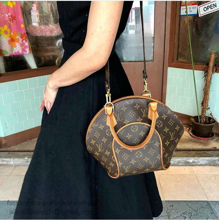 Louis Vuitton Monogram Canvas Ellipse PM M61244