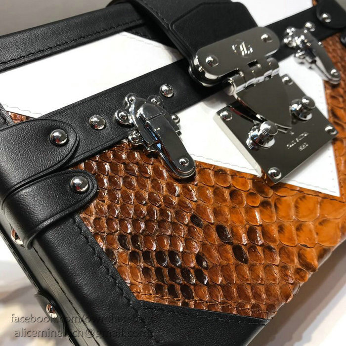 Louis Vuitton Petite Malle N93800