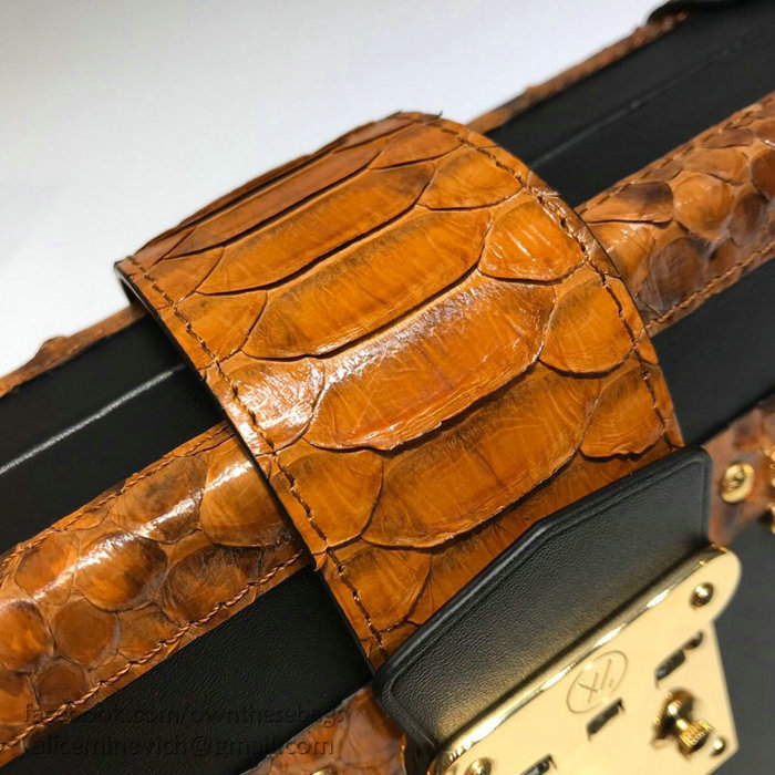 Louis Vuitton Petite Malle N94723