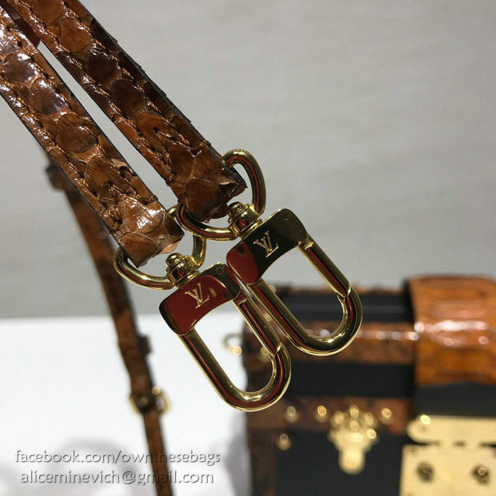 Louis Vuitton Petite Malle N94723