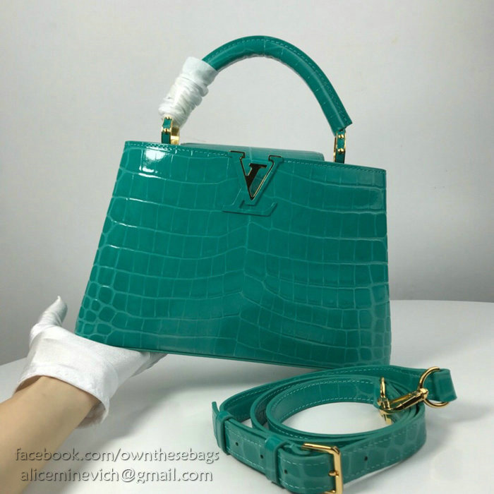 Louis Vuitton Calfskin Capucines Light Green N93419