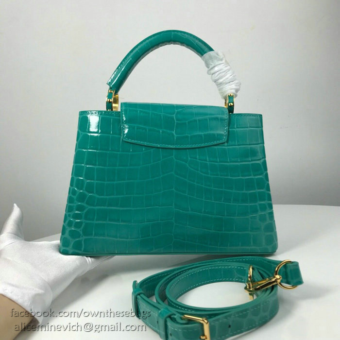 Louis Vuitton Calfskin Capucines Light Green N93419