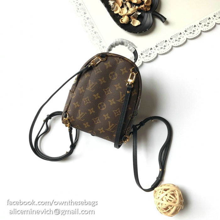 Louis Vuitton Monogram Canvas Palm Springs Mini M44367