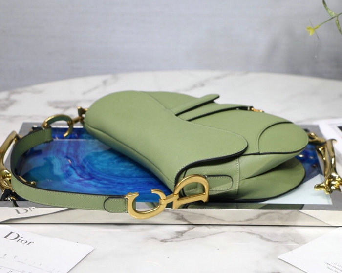 Dior Grained Calfskin Saddle Bag Green M9001