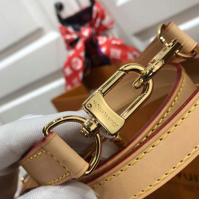 Louis Vuitton Speedy Bandouliere 25 M41113