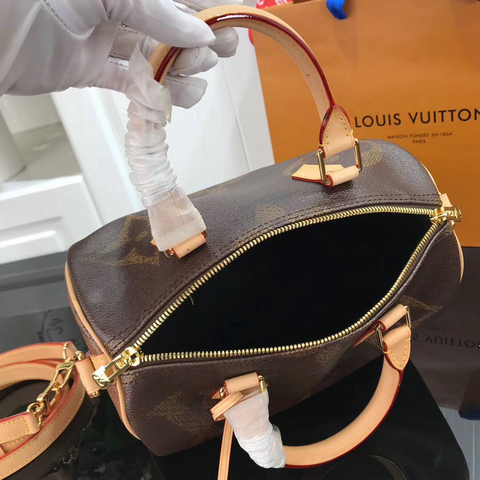 Louis Vuitton Speedy Bandouliere 25 M41113