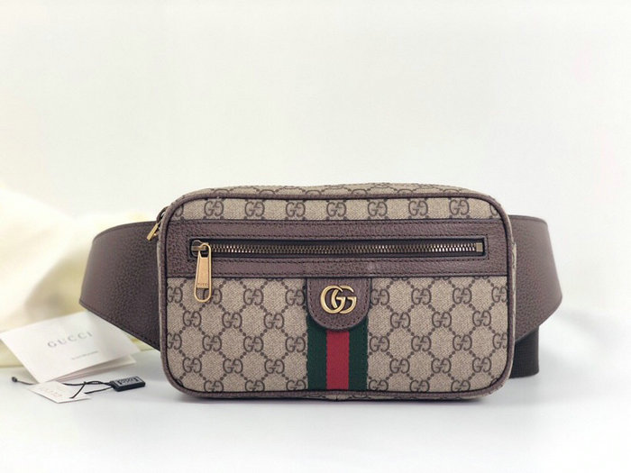 Gucci Ophidia GG Belt Bag 574796