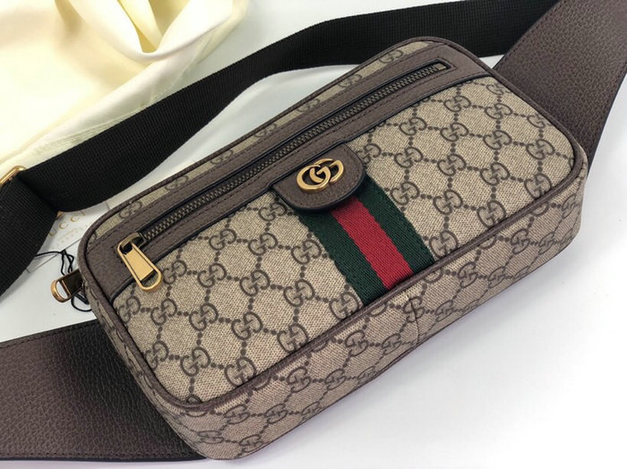 Gucci Ophidia GG Belt Bag 574796