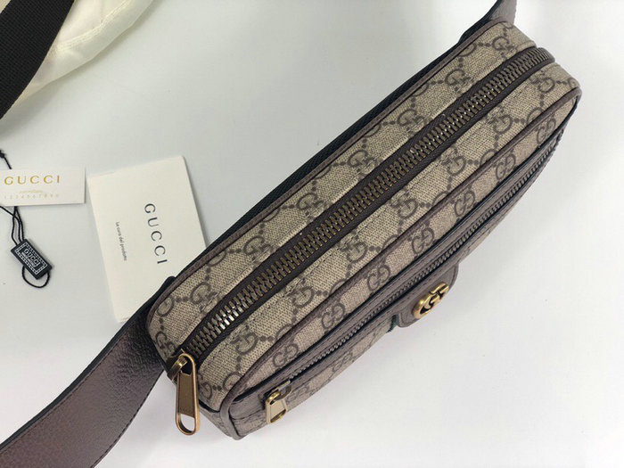 Gucci Ophidia GG Belt Bag 574796