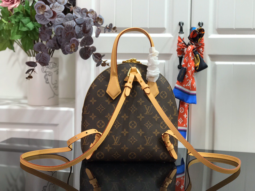 Louis Vuitton Backpack M44677