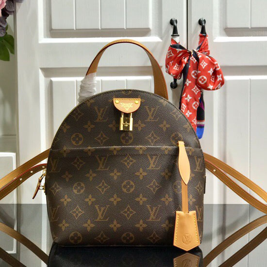 Louis Vuitton Backpack M44677