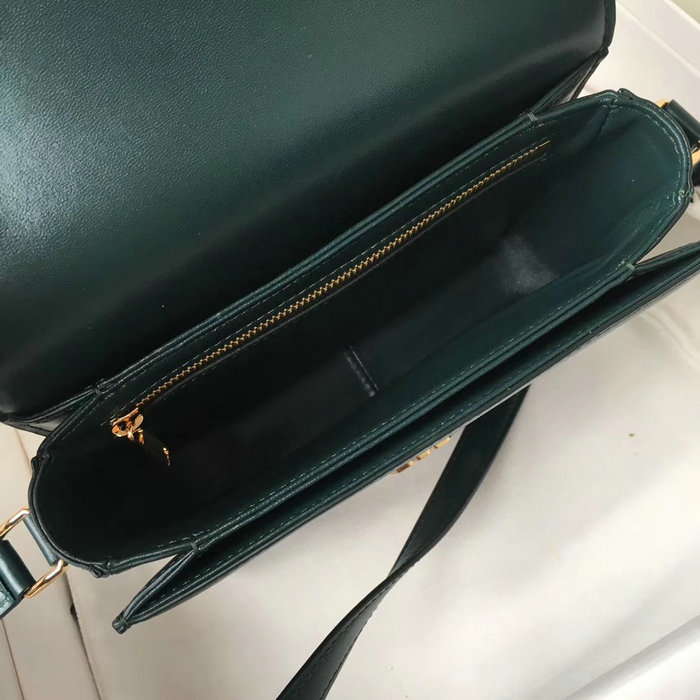 Celine Medium Triomphe Bag in Shiny Calfskin Amazone C03081