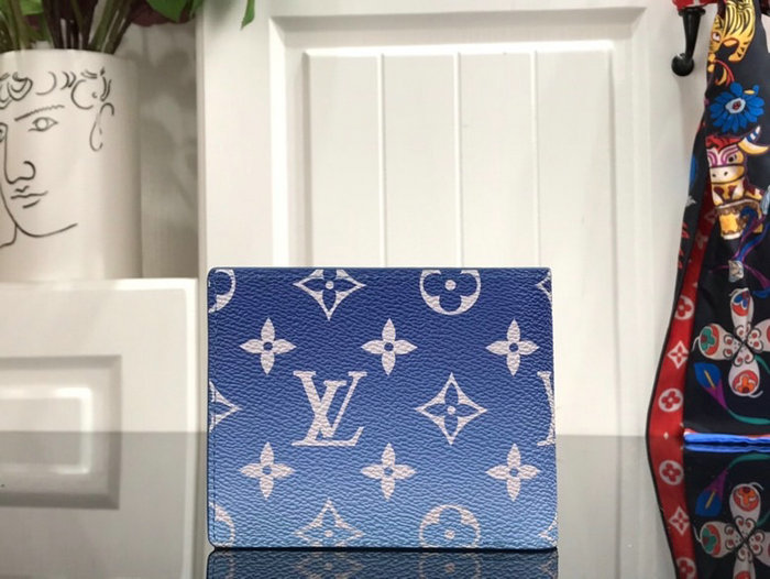 Louis Vuitton Multiple Wallet M60895