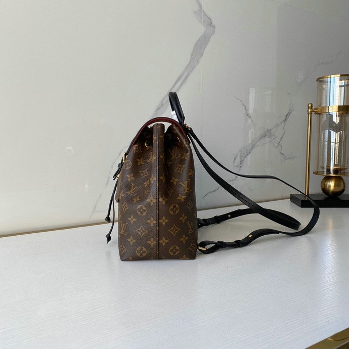 Louis Vuitton Montsouris Backpack Black M45501