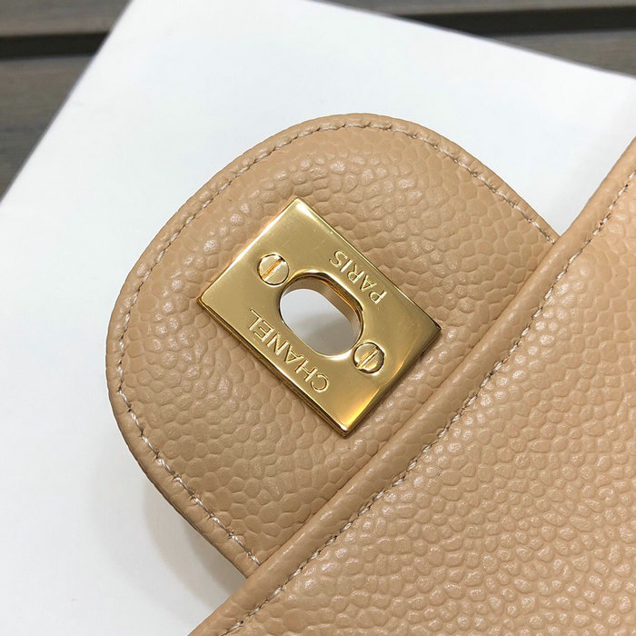 Small Classic Chanel Flap Bag Beige with Gold A01117