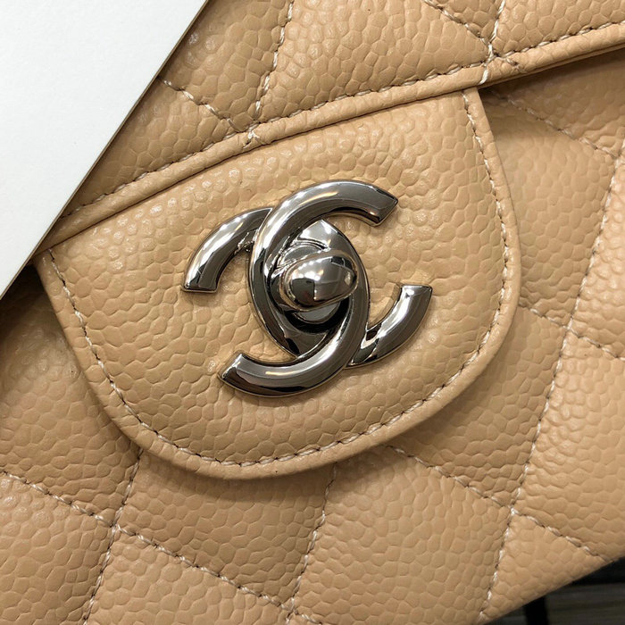 Small Classic Chanel Flap Bag Beige with Silver A01117