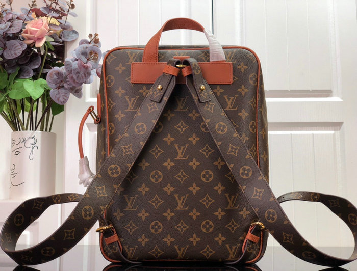 Louis Vuitton Lvxnba Shoes Box Backpack M45784