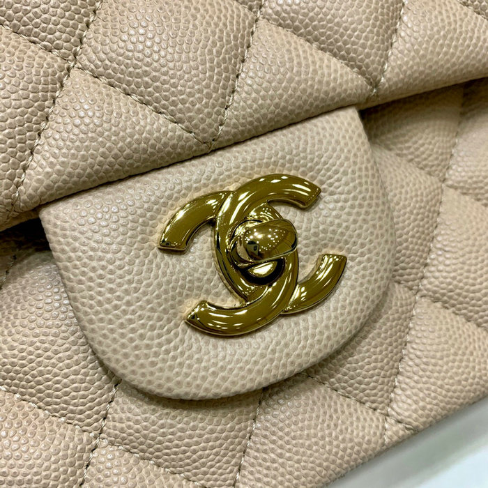 Classic Chanel Grained Calfskin Handbag Beige A01112