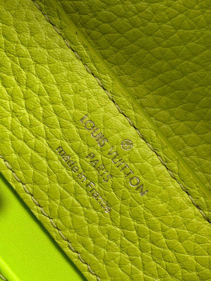 Louis Vuitton Capucines Mini Green M55985