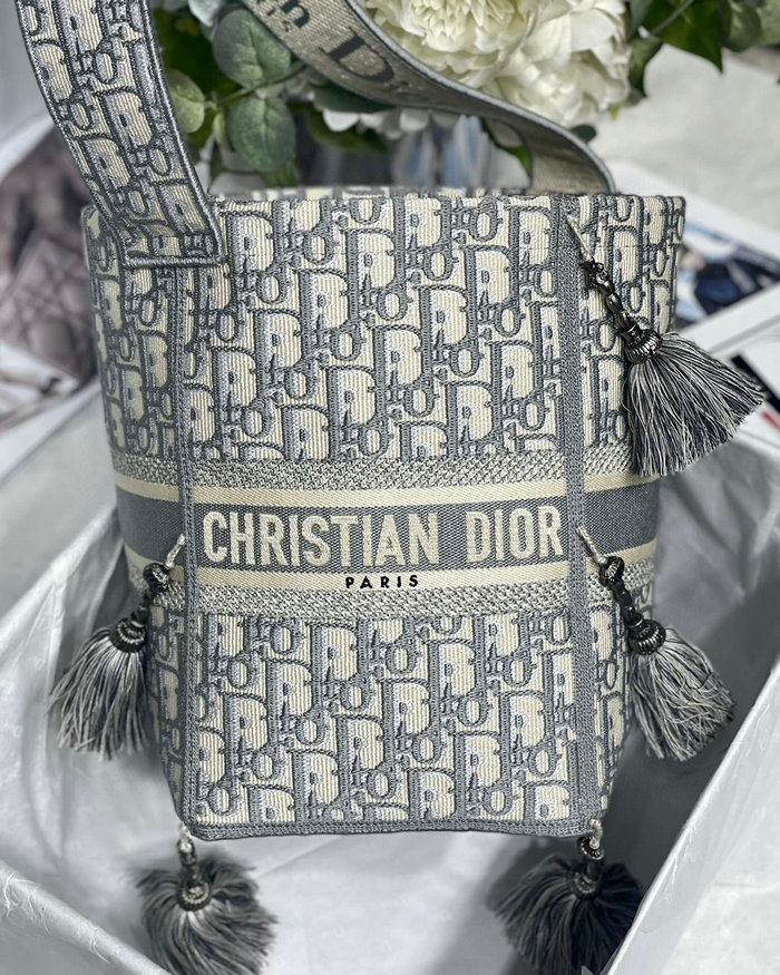 Dior D-bubble bucket bag Grey DM6006