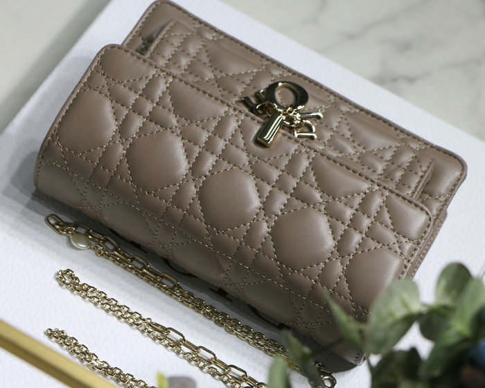 Dior lambskin Chain Wallet Nude DM7001