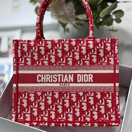 Small Dior Book Tote MS12862