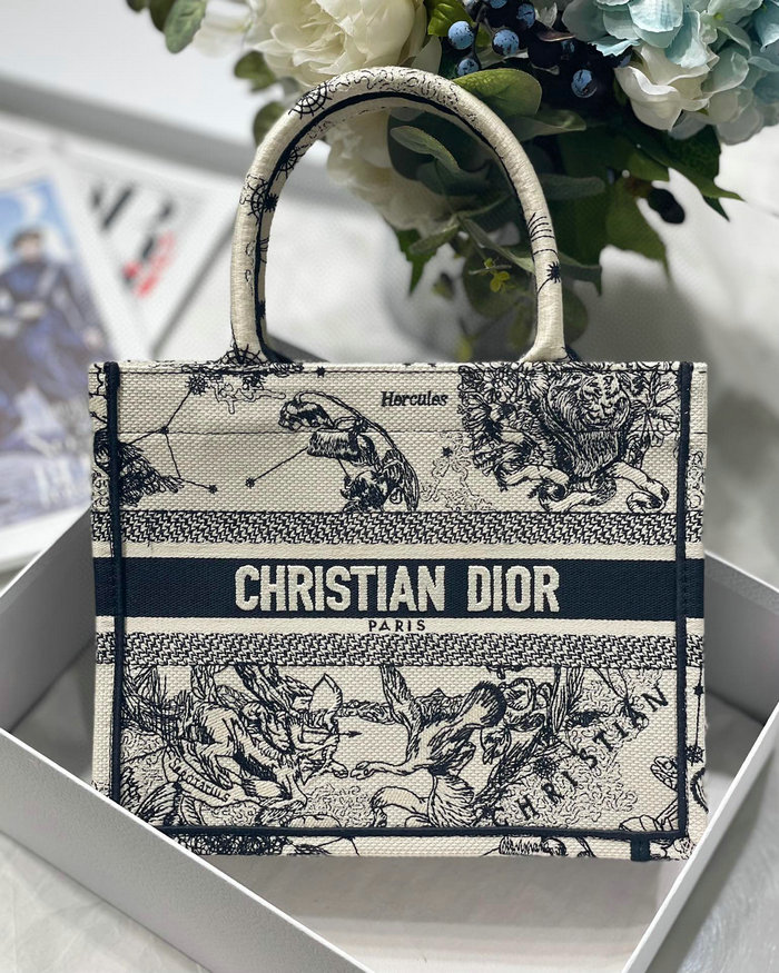 Small Dior Book Tote MS12863